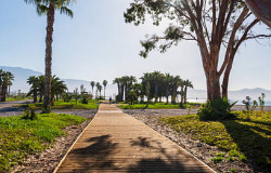 Norewgian (NCL) Dawn